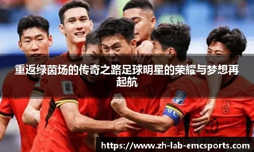 重返绿茵场的传奇之路足球明星的荣耀与梦想再起航